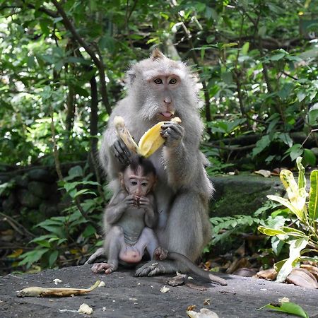 Pondok Penestanan Villa Ubud Zewnętrze zdjęcie