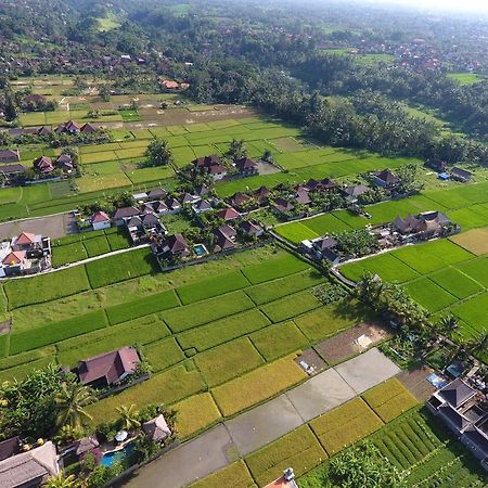 Pondok Penestanan Villa Ubud Zewnętrze zdjęcie