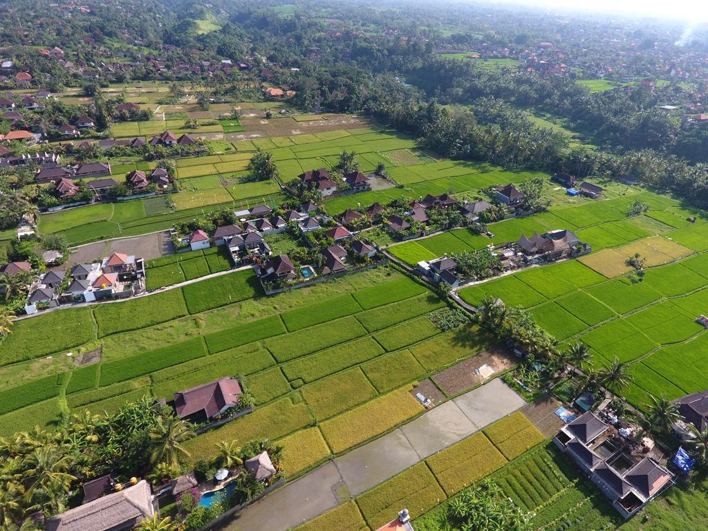 Pondok Penestanan Villa Ubud Zewnętrze zdjęcie